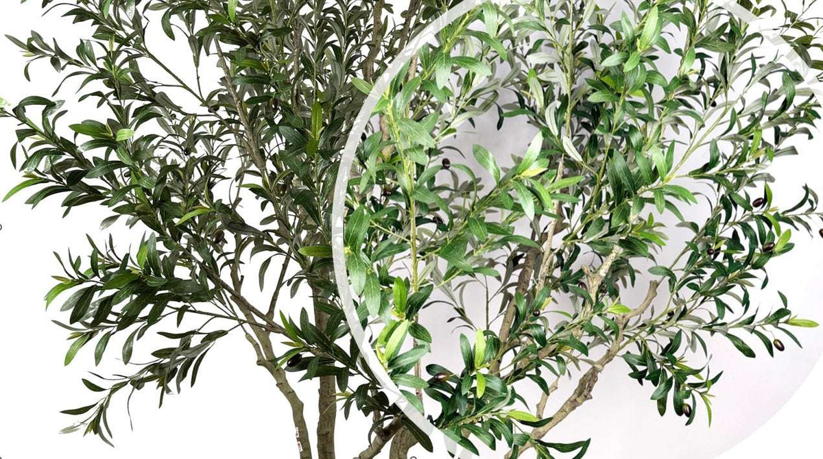 Olivo artificial H250 cm