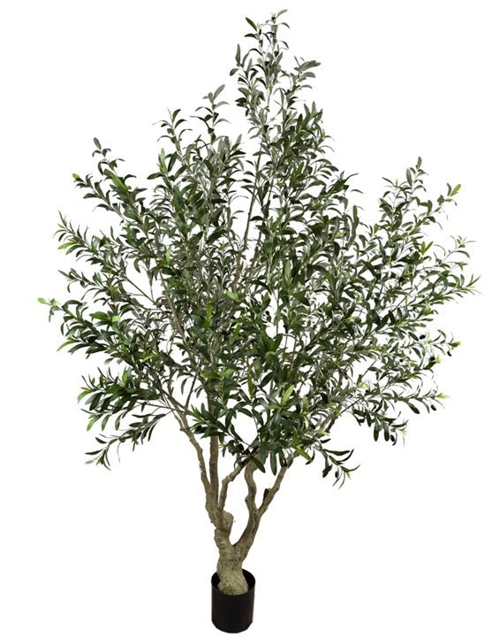 Olivier artificiel H250 cm