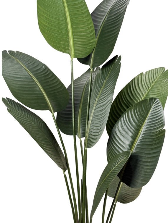 Planta artificial banana viajera H160 - Vintahome