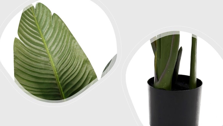 Planta artificial banana viajera H160 - Vintahome