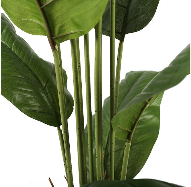Plantas Artificiales resistentes a la humedad