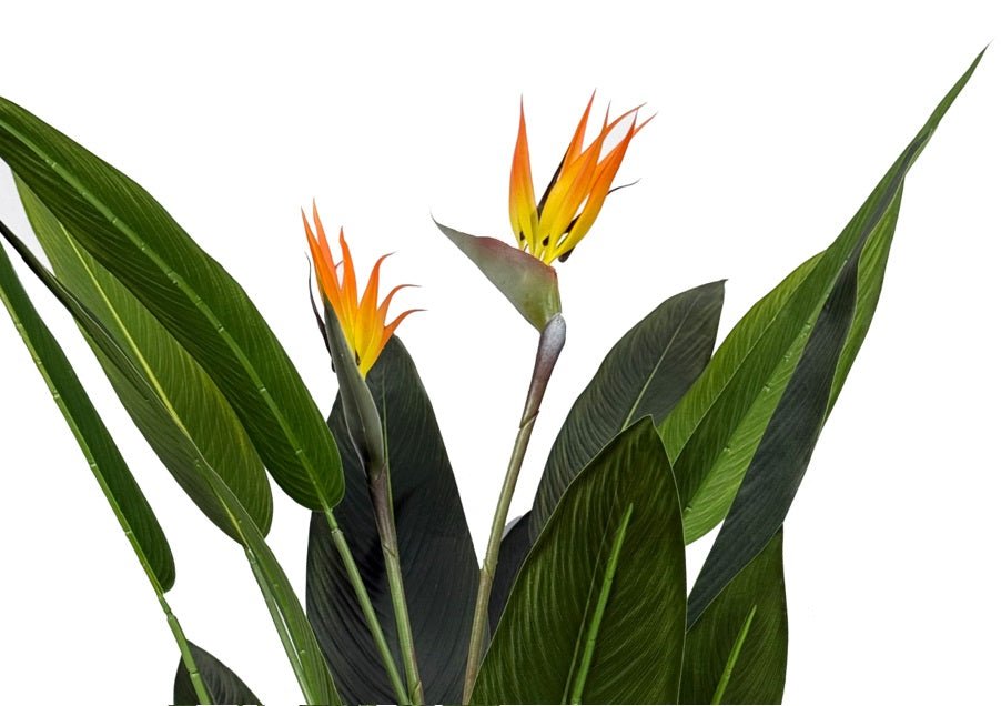Planta artificial Ave del paraíso H140/160/180 - Vintahome