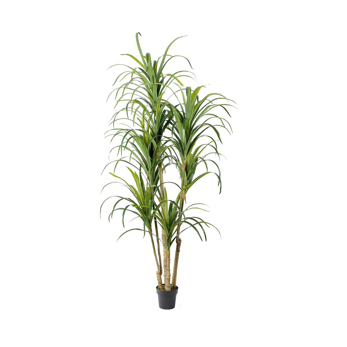 Plante artificielle de yucca H180